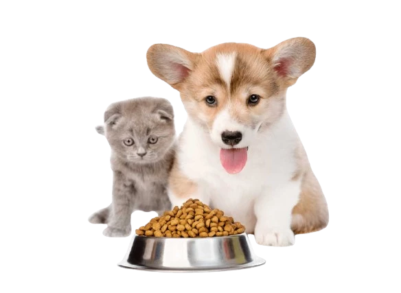 Pets & Animals Foods