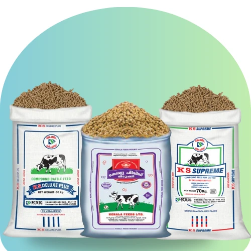 Cattle Feeds