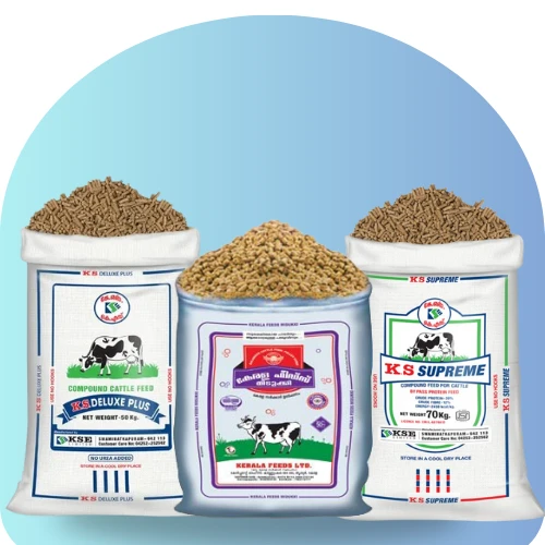 Cattle Feeds